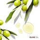 Mazani Oil Coil Gel